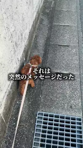 やどかりのTikTok投稿