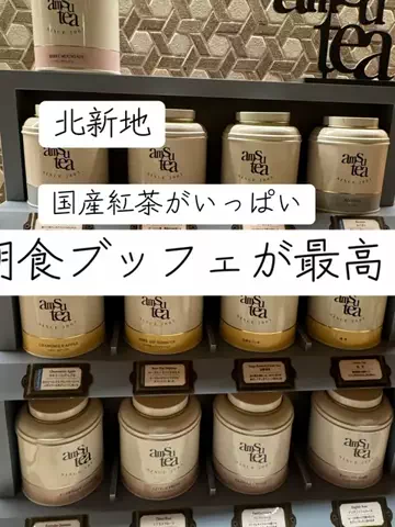 アルコールのひとのTikTok投稿