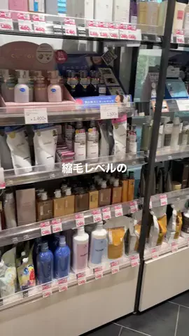 髪サランねきのTikTok投稿