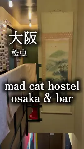 アルコールのひとのTikTok投稿