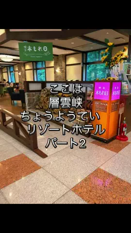 みーなりーなのTikTok投稿