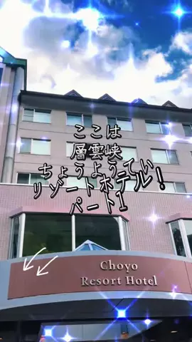 みーなりーなのTikTok投稿