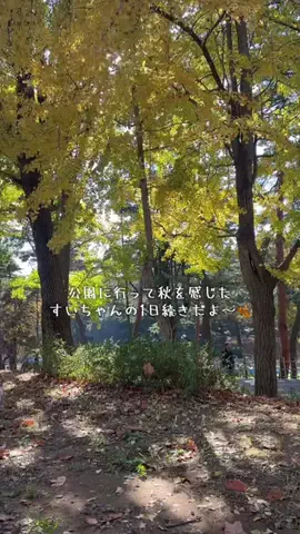 すいちゃんとっく🍍のTikTok投稿
