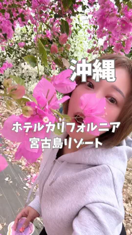 はらぺこももたすのTikTok投稿