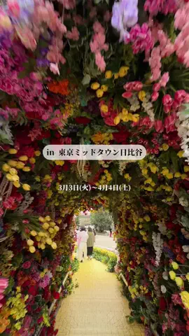 このアカウントは使用しておりません。のTikTok投稿