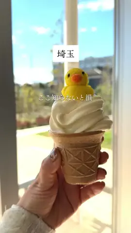 のん|埼玉巡り&グルメのTikTok投稿