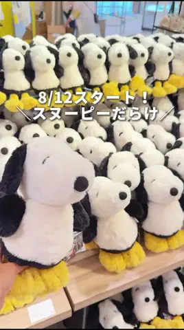 ころたびのTikTok投稿