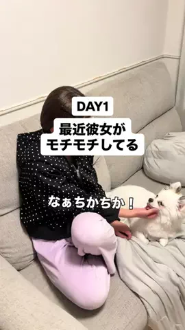 まんぷくかっぷるのTikTok投稿