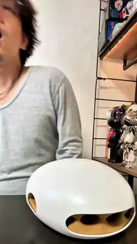 ヤギのあれこれのTikTok投稿