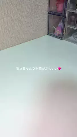 𝙚𝙢𝙪 ⸝꙳.⋆のTikTok投稿
