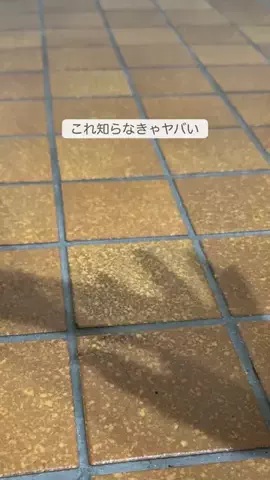 ぴい ┊ ズボラでも続く簡単そうじのTikTok投稿