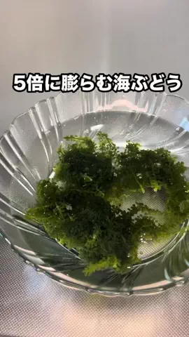 みゆきの暮らしのTikTok投稿