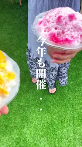 リンリン15秒グルメのTikTok投稿