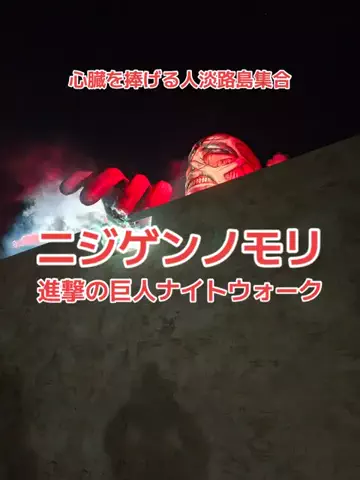 野良猫　イチくんとナナちゃんのTikTok投稿