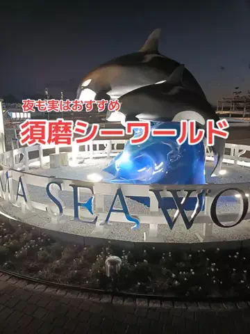 野良猫　イチくんとナナちゃんのTikTok投稿