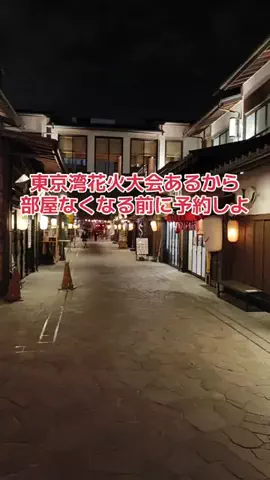 野良猫　イチくんとナナちゃんのTikTok投稿