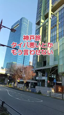 野良猫　イチくんとナナちゃんのTikTok投稿