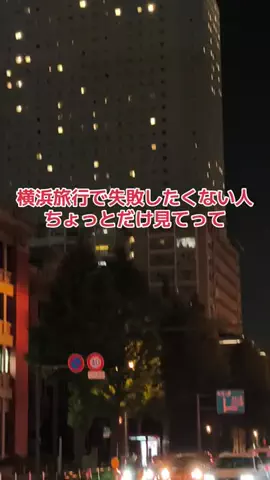 野良猫　イチくんとナナちゃんのTikTok投稿