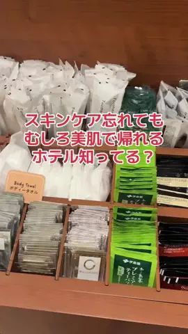 野良猫　イチくんとナナちゃんのTikTok投稿