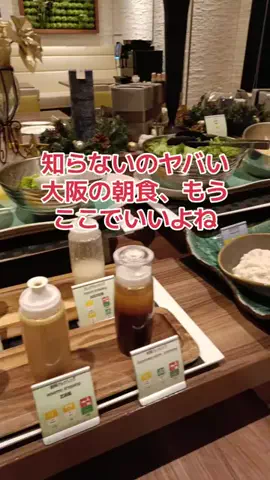 野良猫　イチくんとナナちゃんのTikTok投稿