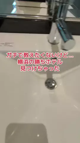 野良猫　イチくんとナナちゃんのTikTok投稿