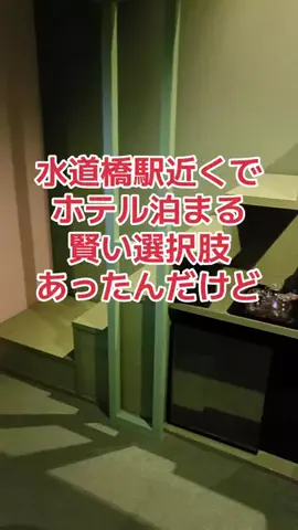 野良猫　イチくんとナナちゃんのTikTok投稿