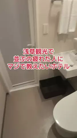 野良猫　イチくんとナナちゃんのTikTok投稿