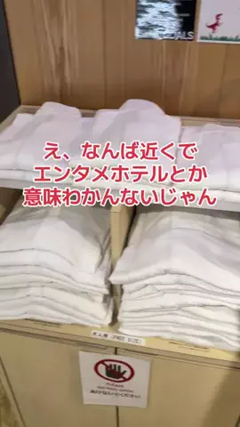 野良猫　イチくんとナナちゃんのTikTok投稿
