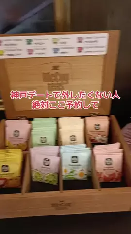 野良猫　イチくんとナナちゃんのTikTok投稿