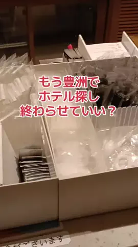 野良猫　イチくんとナナちゃんのTikTok投稿