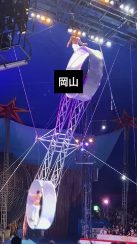 マメ子@岡山県北おでかけのTikTok投稿