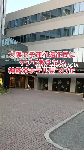 野良猫　イチくんとナナちゃんのTikTok投稿