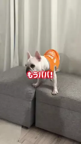 よめひめ。のTikTok投稿