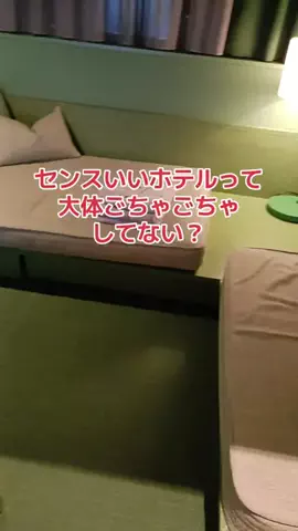 野良猫　イチくんとナナちゃんのTikTok投稿