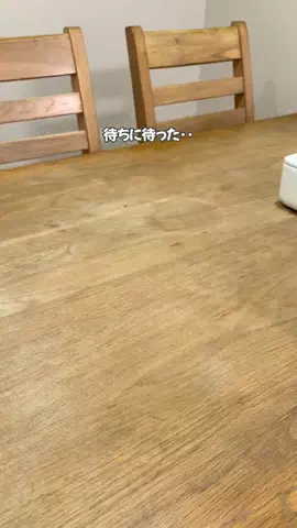 ゆぽのTikTok投稿