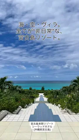 カリスマLIFEのTikTok投稿