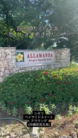 カリスマLIFEのTikTok投稿