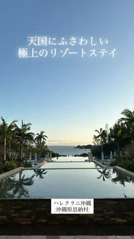 カリスマLIFEのTikTok投稿