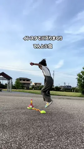 あしか🦭ママのイライラ減らす人のTikTok投稿