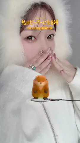 いろは新喜劇🍀💛のTikTok投稿