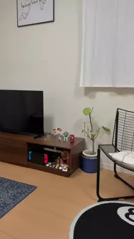 扇文のTikTok投稿