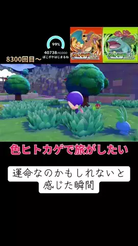 アフロ🐬のTikTok投稿
