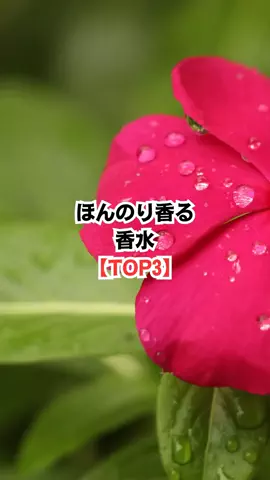 振られたことないけど質問ある？のTikTok投稿