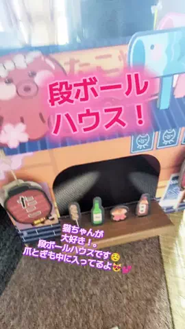 にゃんコロンちゃん♪のTikTok投稿