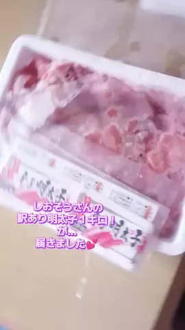 にゃんコロンちゃん♪のTikTok投稿