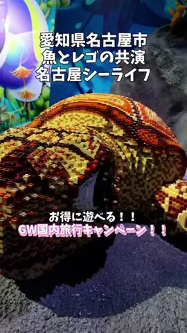 ポロ_身近なお出かけスポット紹介のTikTok投稿