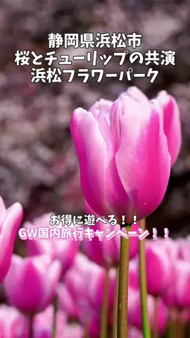 ポロ_身近なお出かけスポット紹介のTikTok投稿