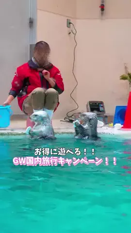 ポロ_身近なお出かけスポット紹介のTikTok投稿