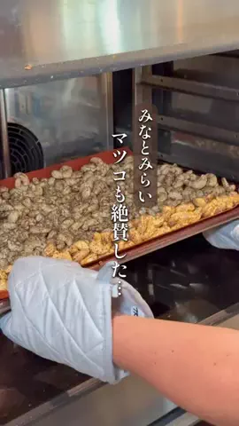 ざわちん|横浜カフェグルメのTikTok投稿