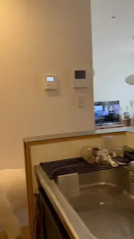 グレートピレニーズのムギチャンネルのTikTok投稿